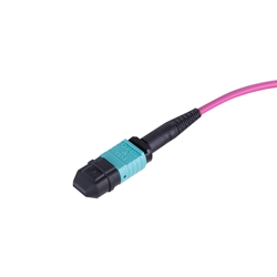MTP® brand MPO-Style Patch Cable