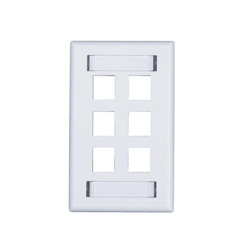 6-Port Keystone Faceplate with Labels
