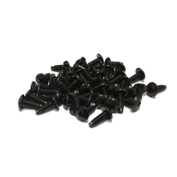 Rack Screws  - Bag of 50